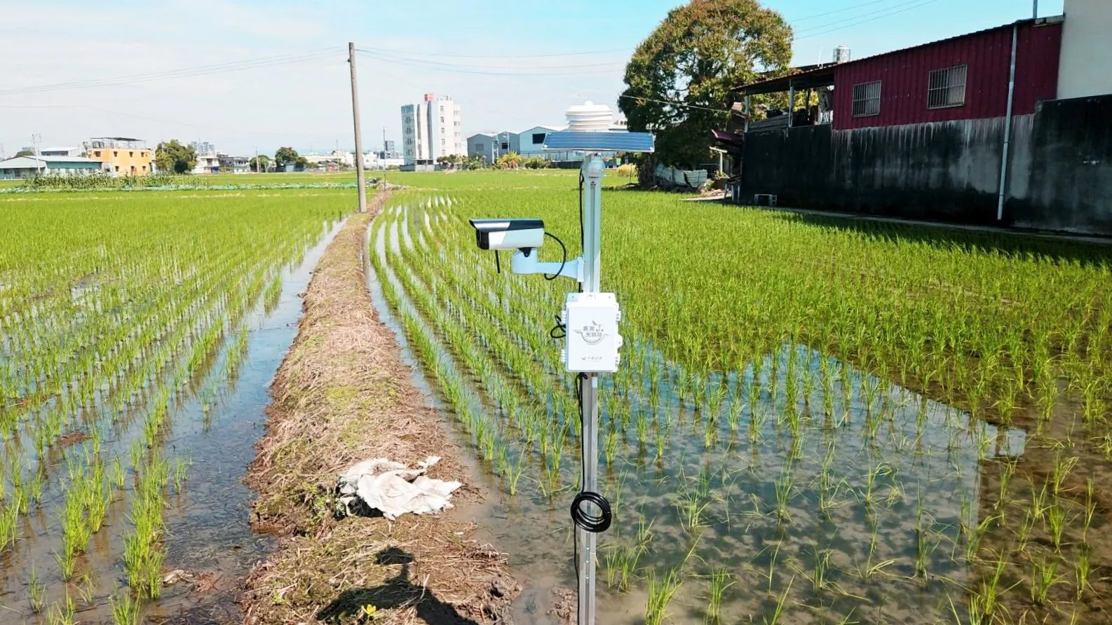 圖片：田間的 AIoT 裝置