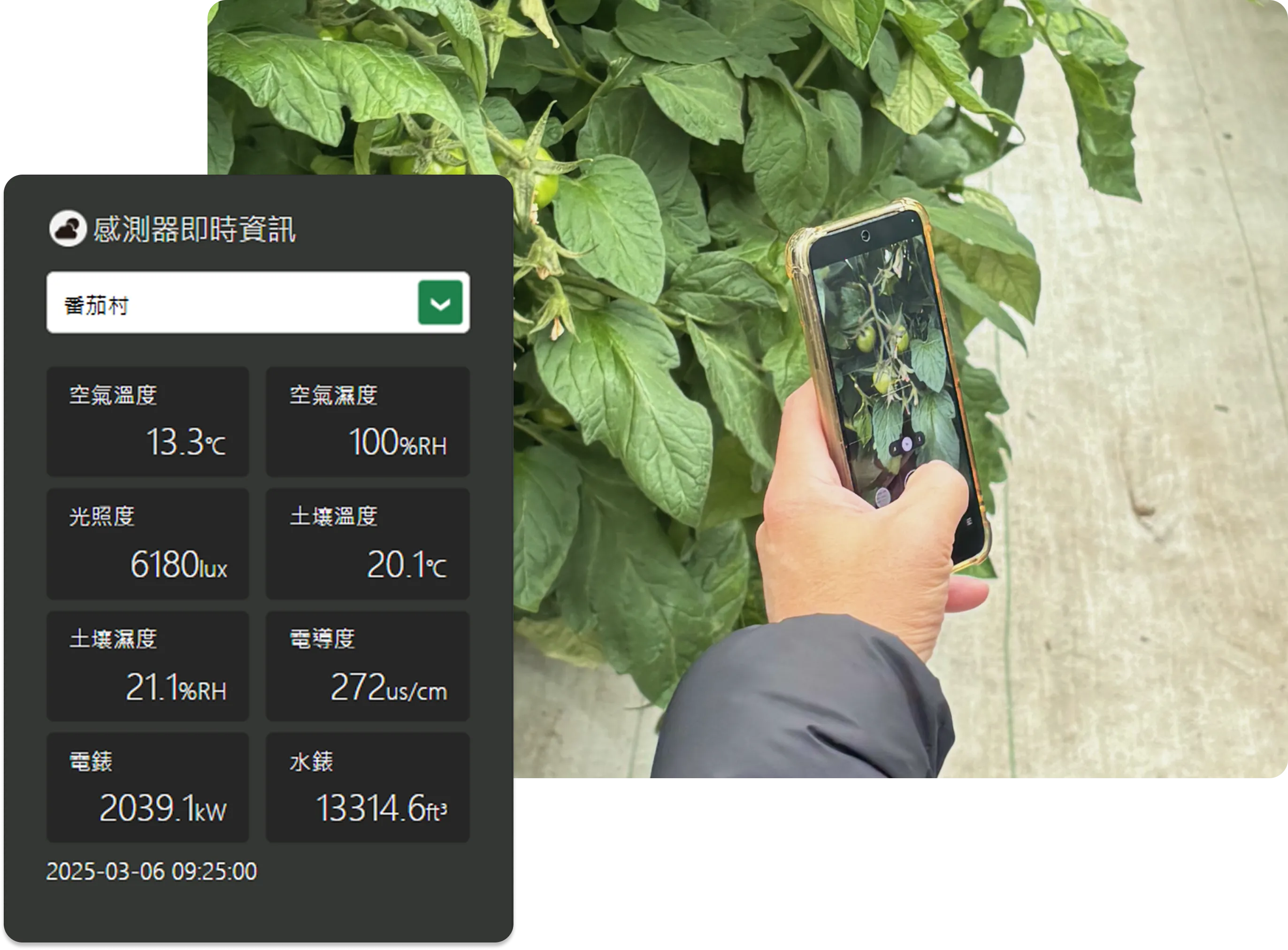 圖片：系統中的田間環境狀況畫面