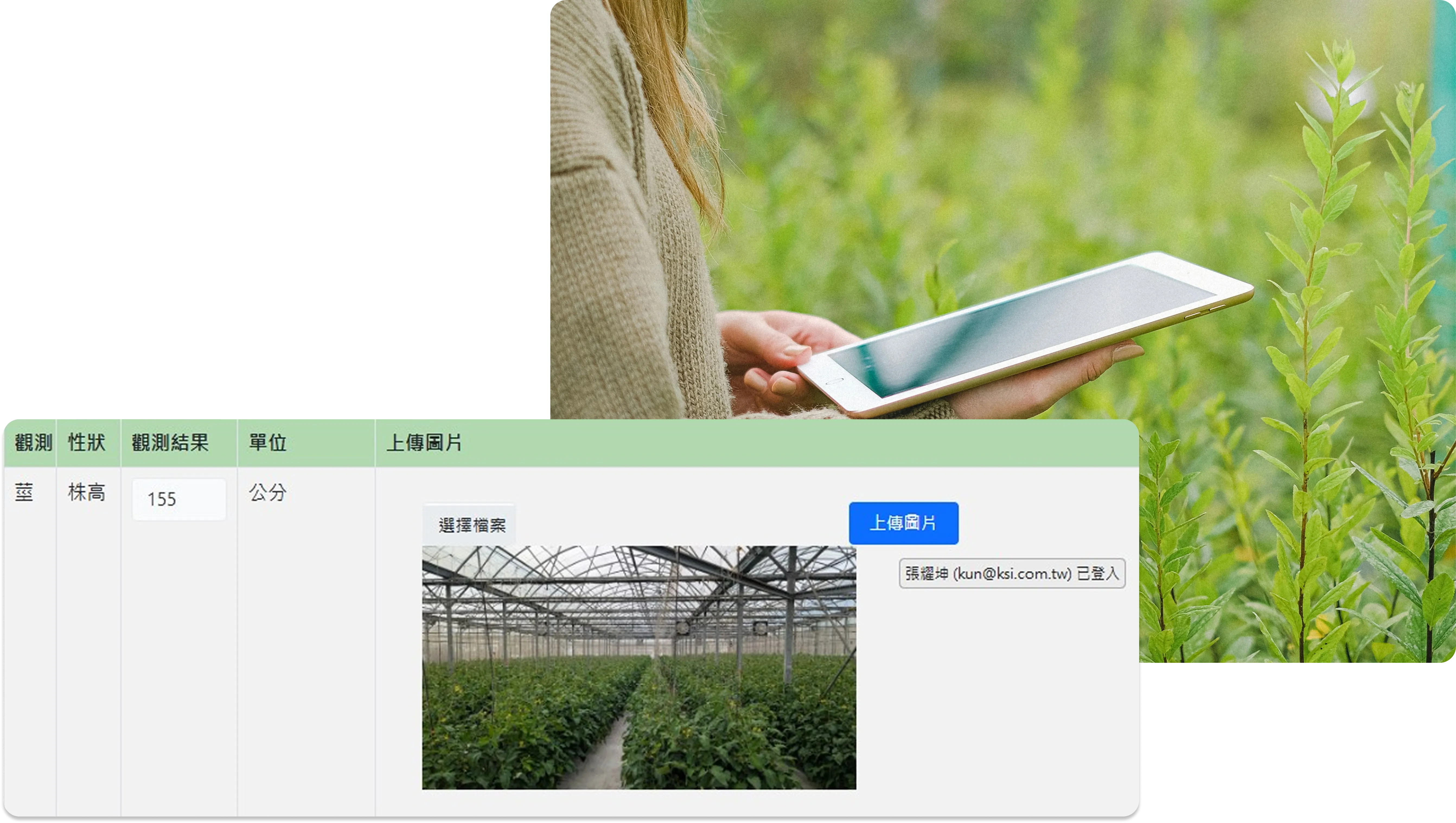 圖片：系統中的作物栽培管理畫面