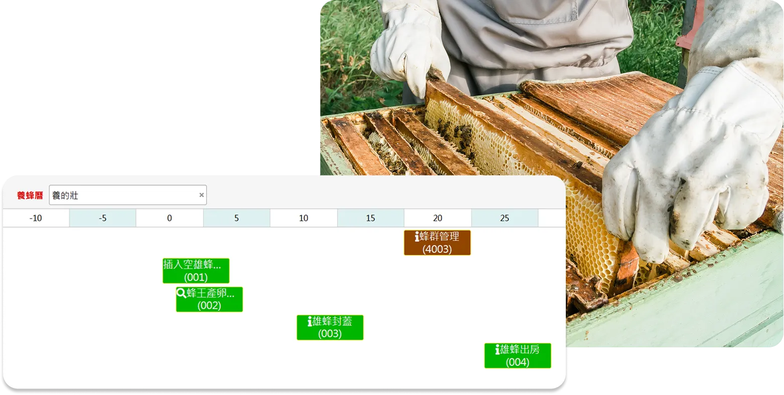 圖片：系統中的養蜂行事曆